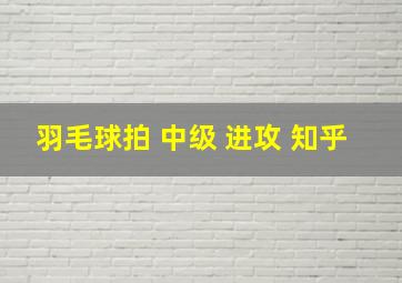 羽毛球拍 中级 进攻 知乎